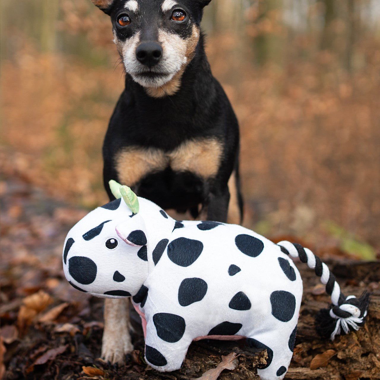 Huggles Toy - Kuh Claire