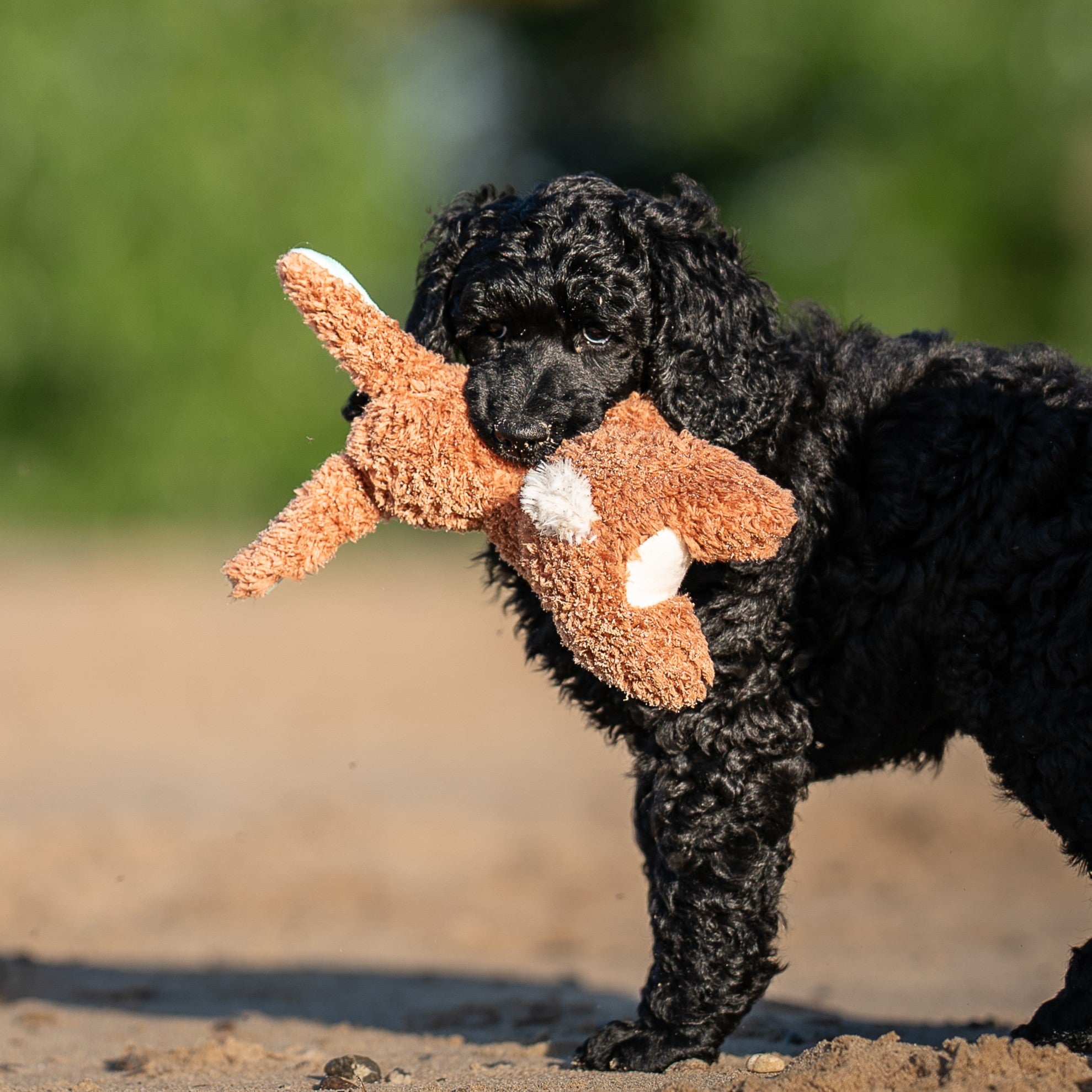 Huggles Toy - Hase Lotta