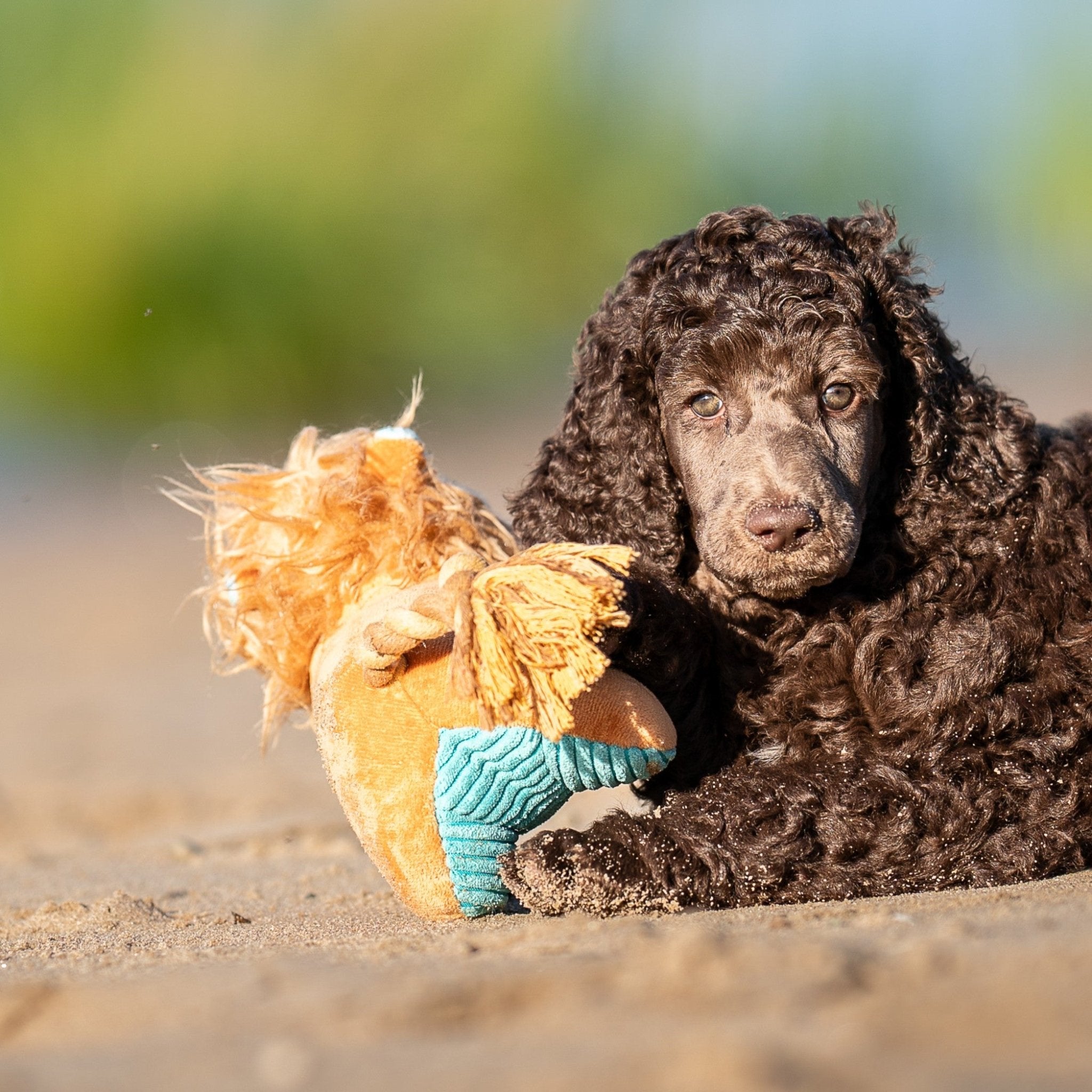 Huggles Toy - Löwe George