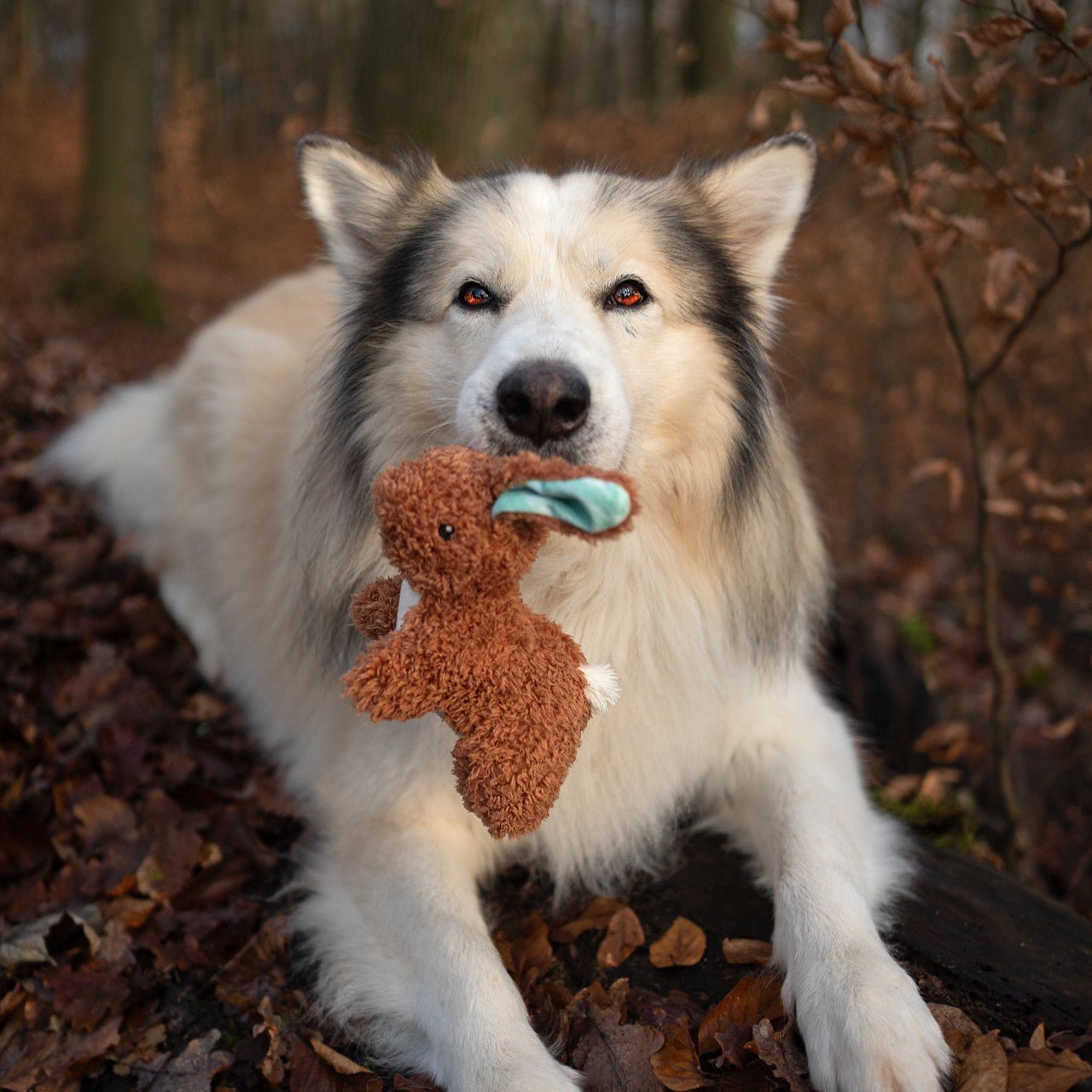Huggles Toy - Hase Lotta