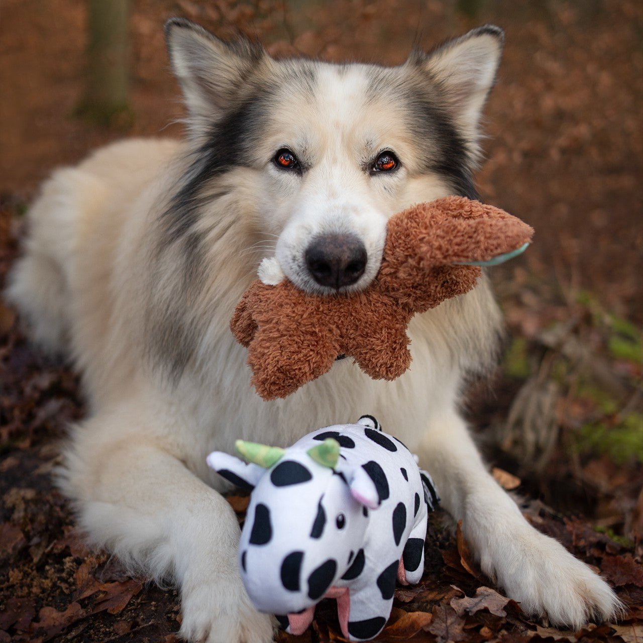 Huggles Toy - Hase Lotta