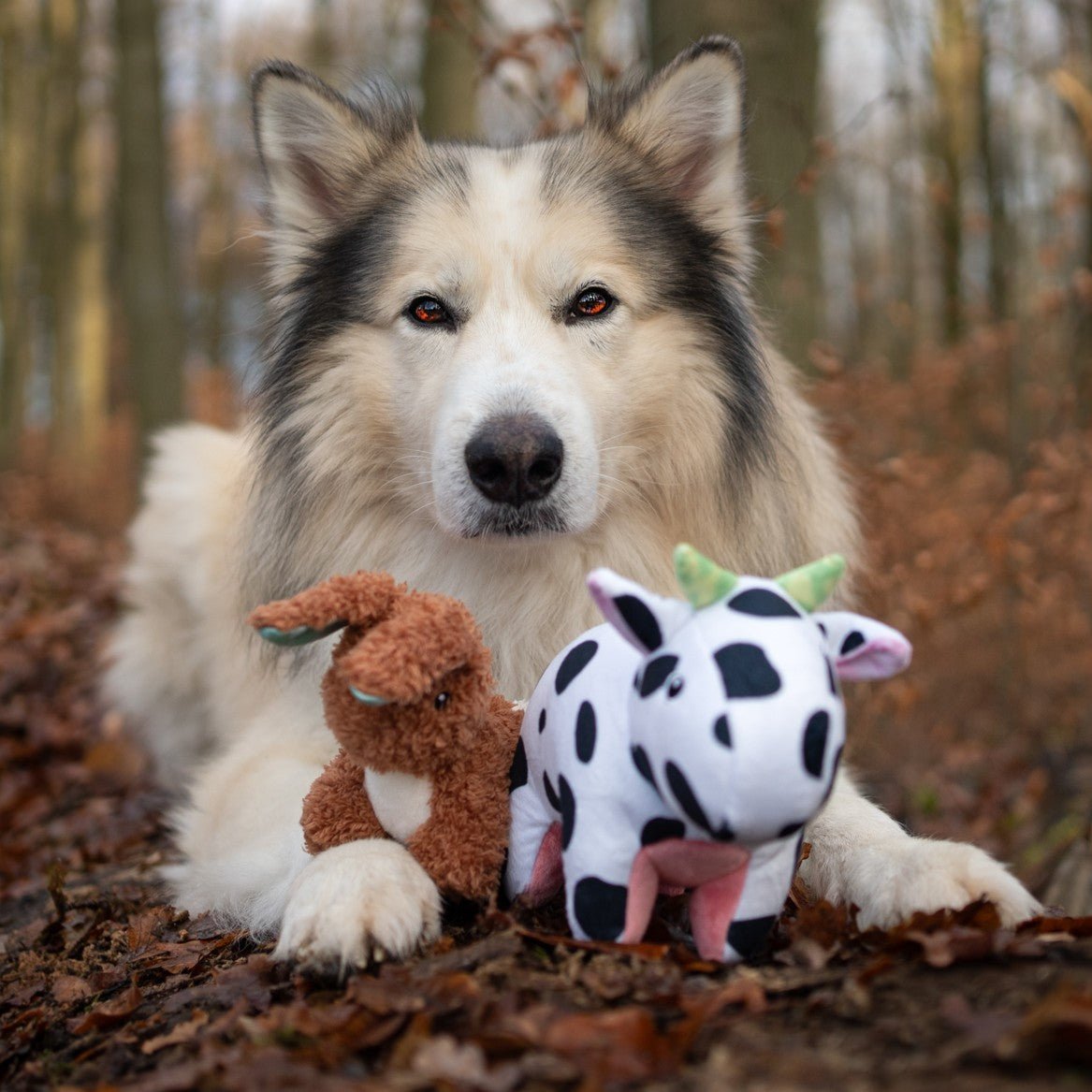 Huggles Toy - Hase Lotta