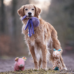 Huggles Toy - Octopus Leila