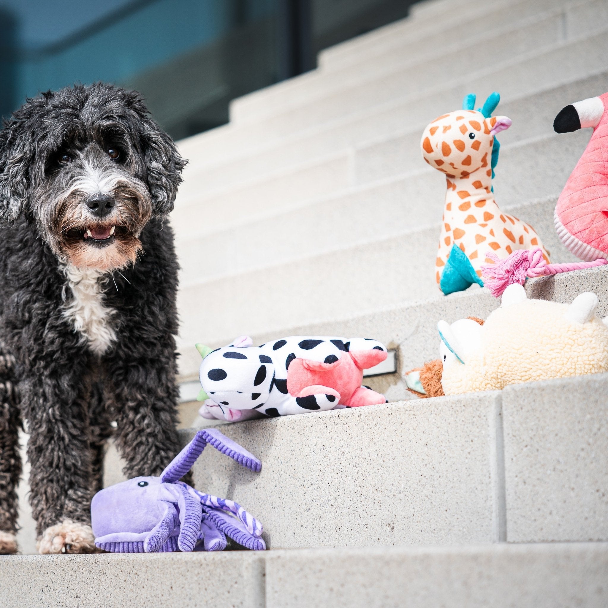 Huggles Toy - Giraffe Jerry