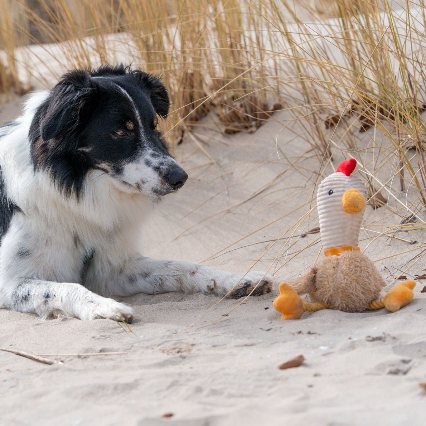 Huggles Toy - Huhn Eggsy