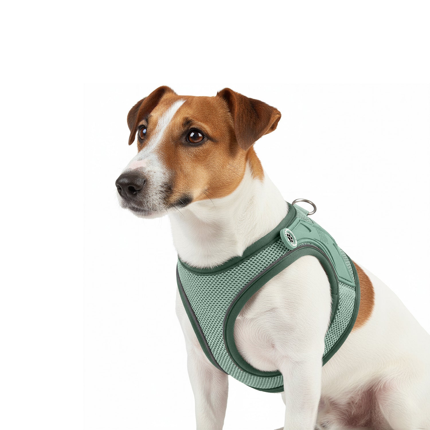 Air Vest Dog Harness - Matrix 2.0 Jade