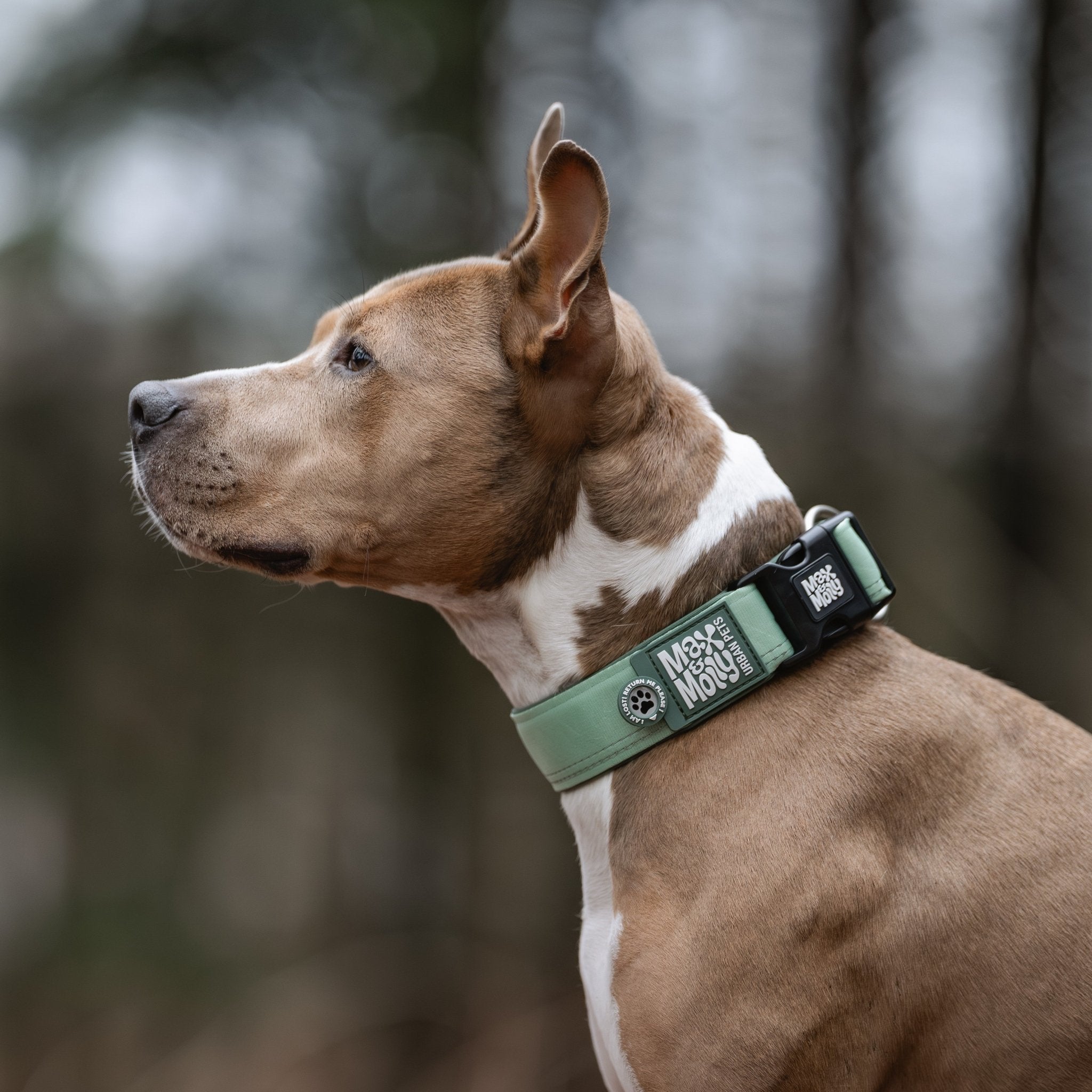 Smart ID Wide Collar - Matrix 2.0 Jade