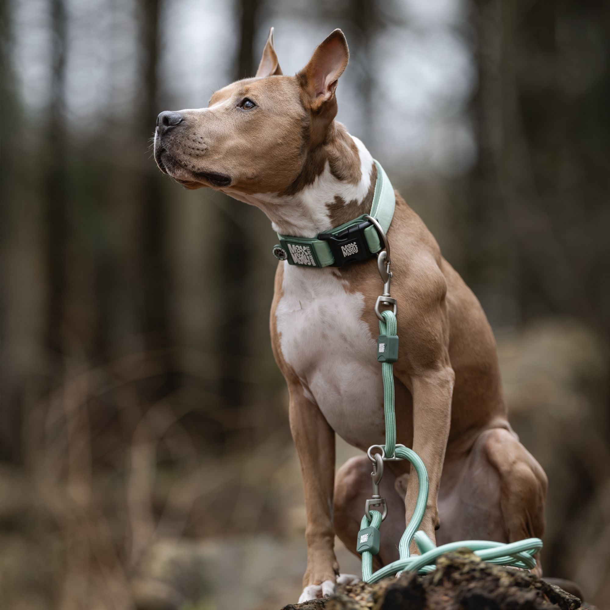 Smart ID Breites Halsband - Matrix 2.0 Jade