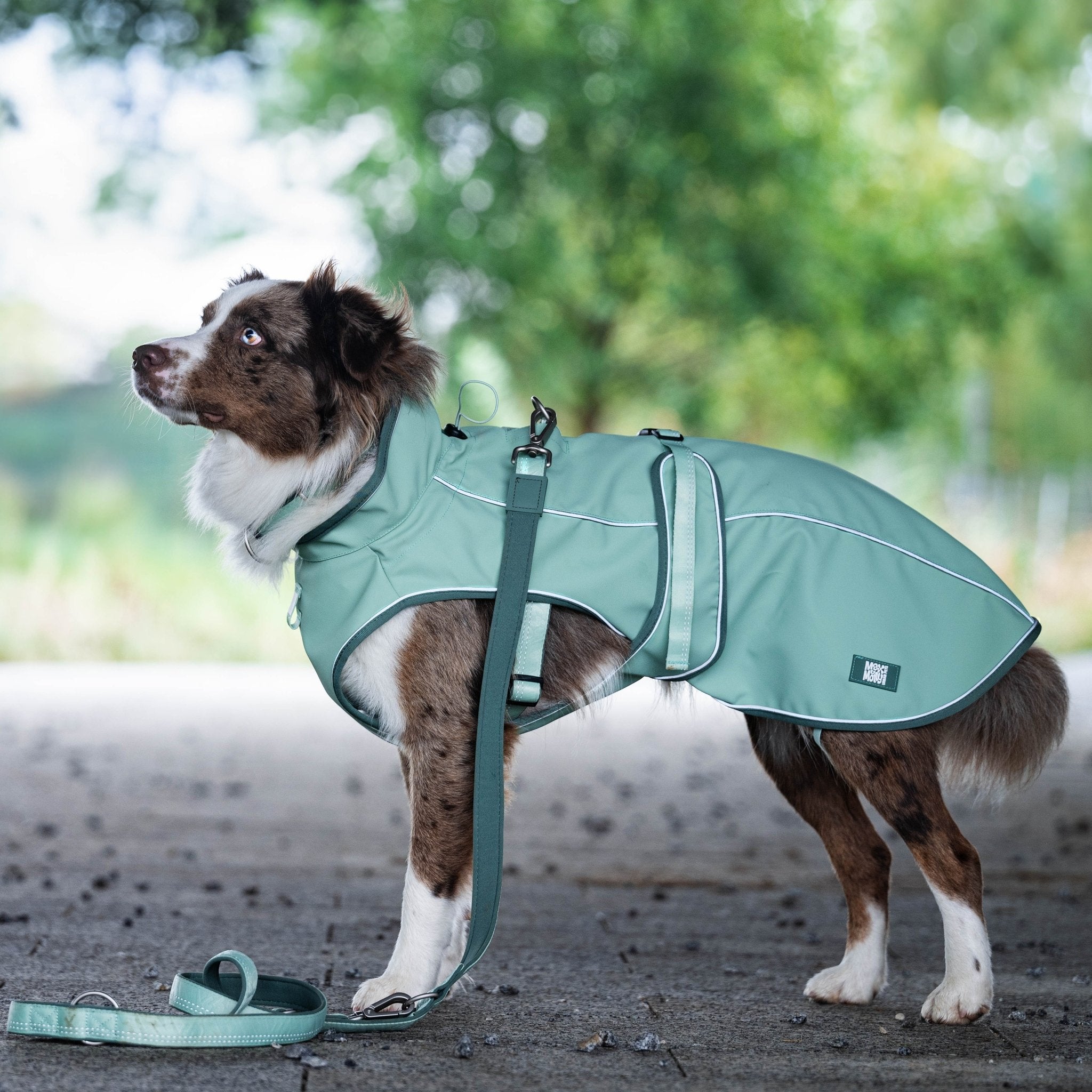 Raincoat for dogs - MATRIX 2.0 JADE