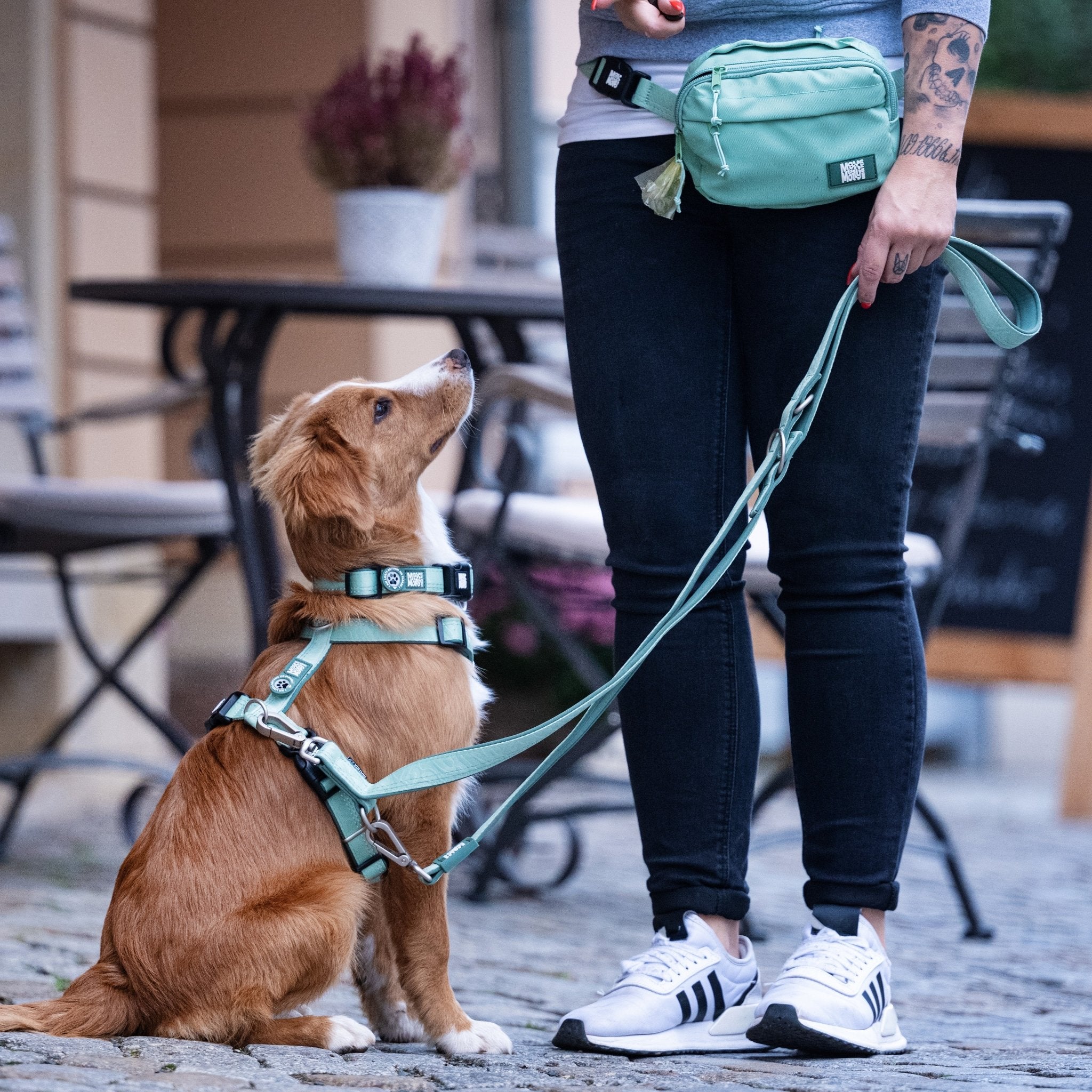 GOTCHA! Smart ID Comfort H-Harness - Matrix 2.0 Jade