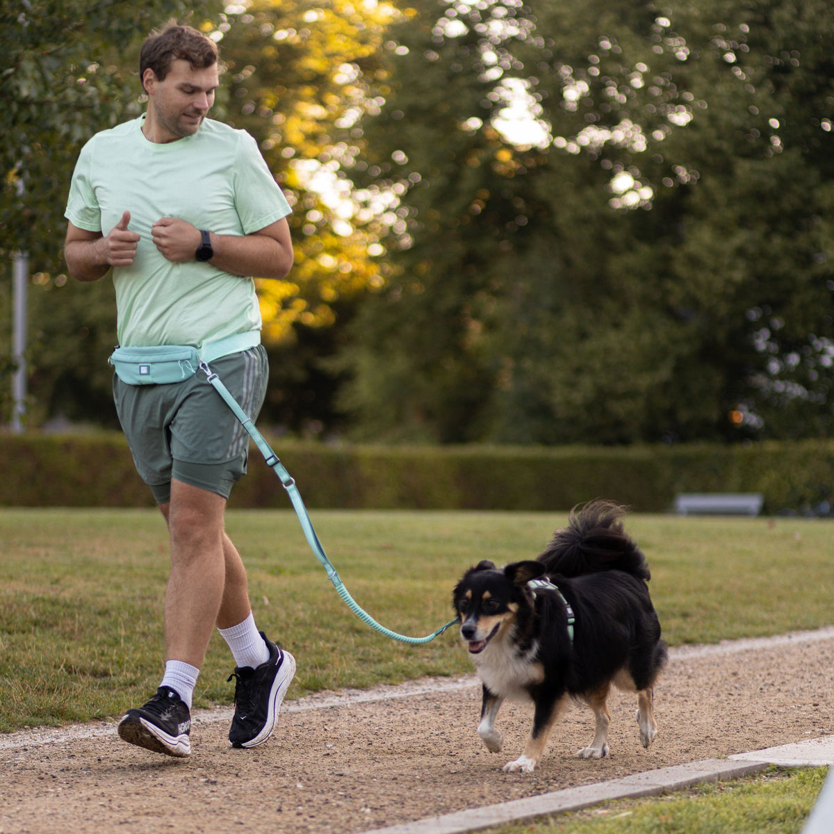 Joggingleine mit Gürteltasche - Matrix 2.0 Sand