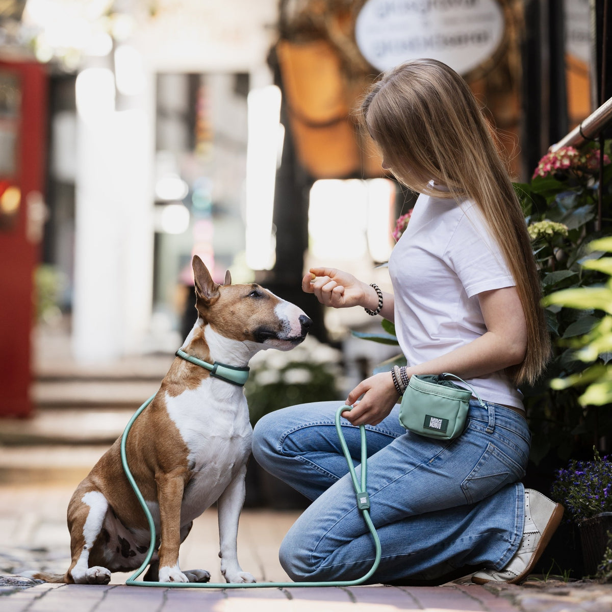 Retriever Rope Leash - Matrix 2.0 Jade