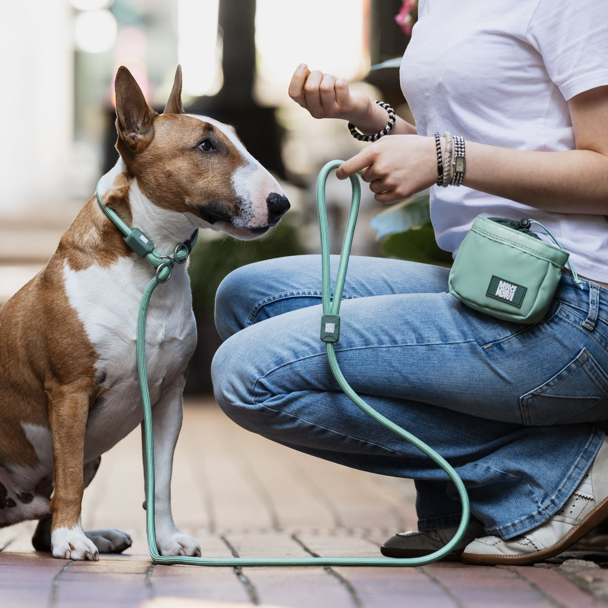 Retriever Rope Leash - Matrix 2.0 Jade