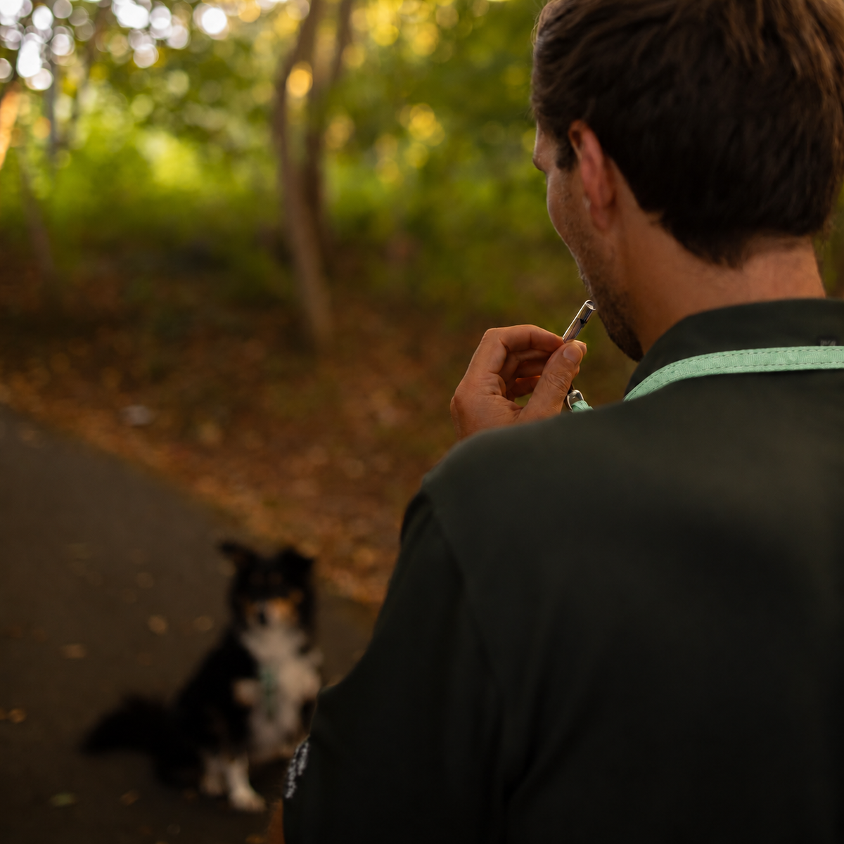 Dog Whistle Lanyard - Matrix 2.0 Jade