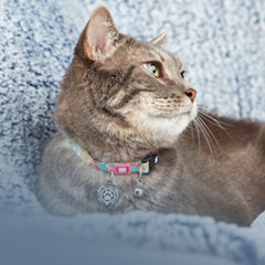 Max & Molly Urban Pets