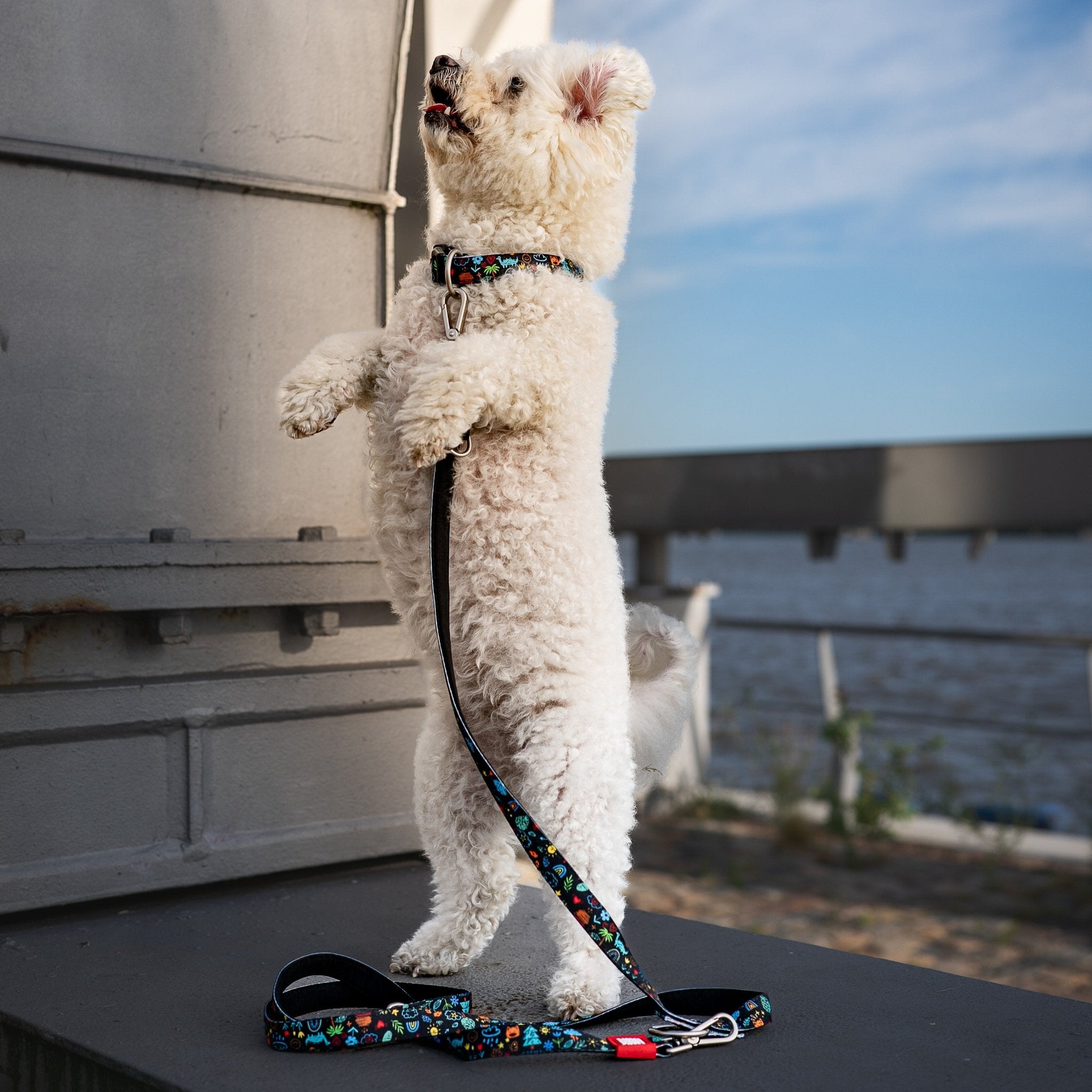 Multifunktionsleine - Kindergarten