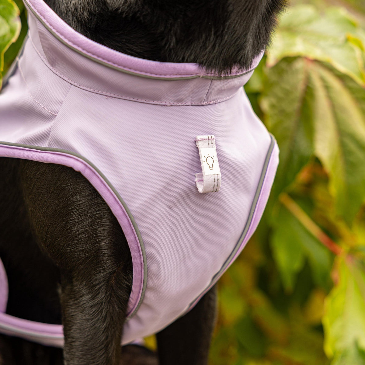 Raincoat for dogs - Matrix 2.0 Lavender