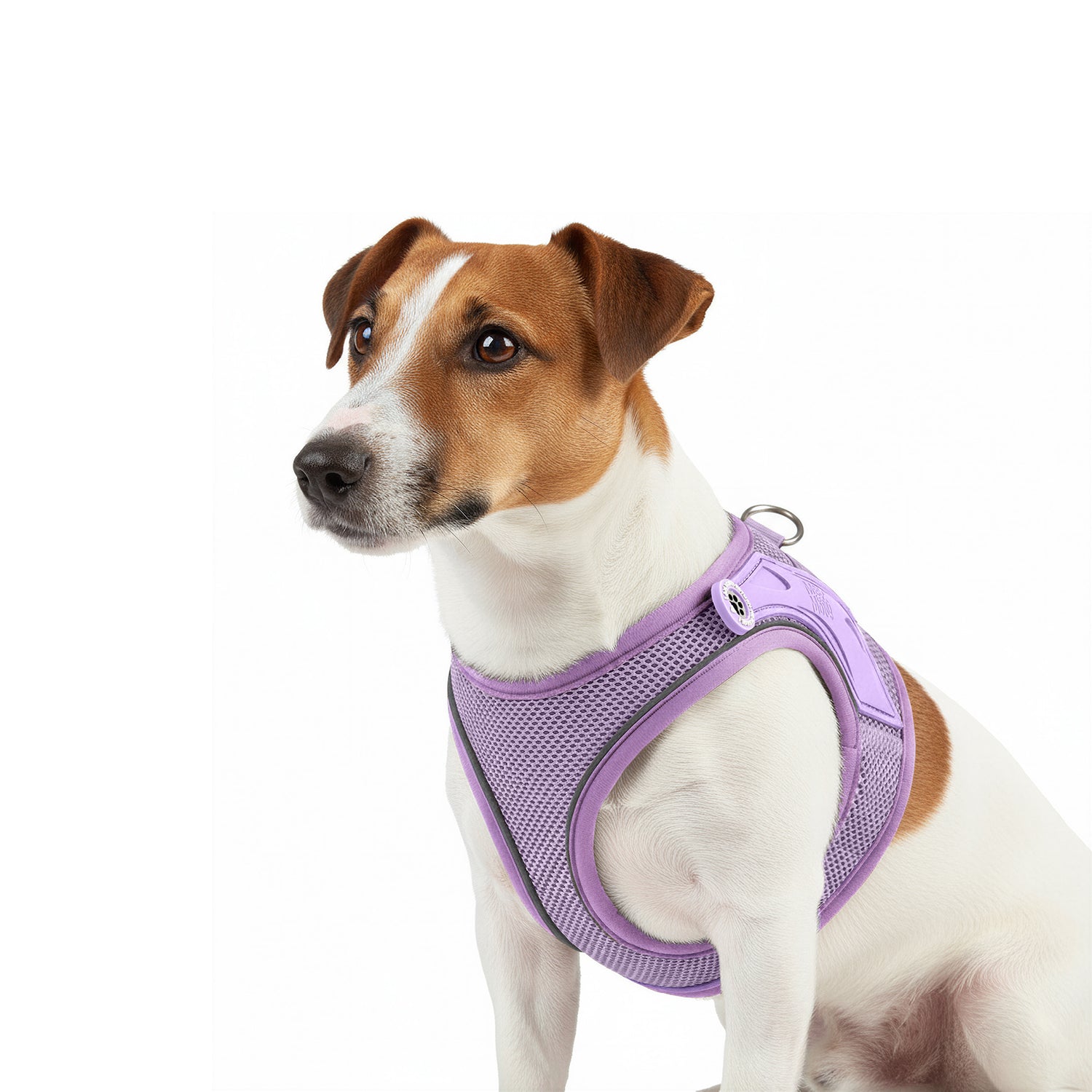 Air Vest Dog Harness - Matrix 2.0 Lavender