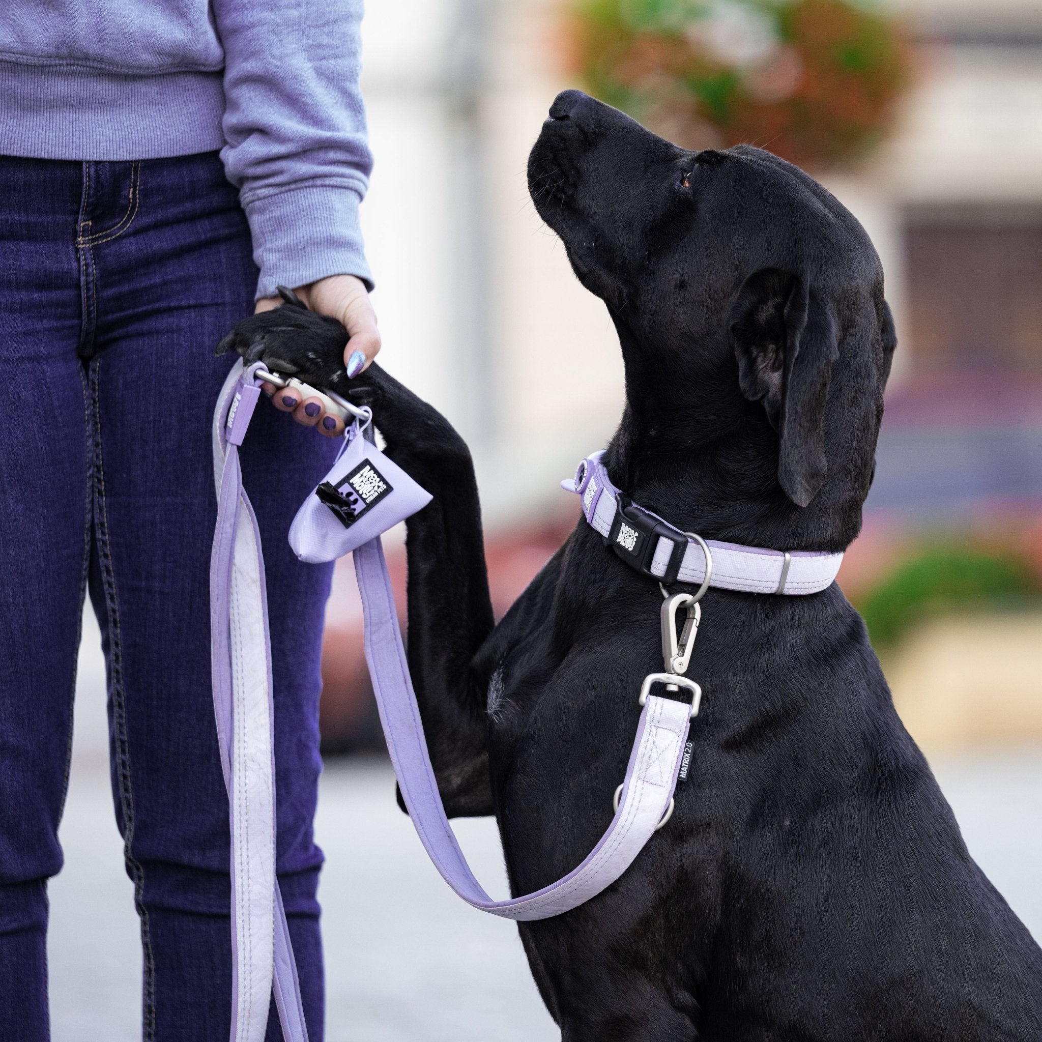 Multifunktionsleine - Matrix 2.0 Lavendel