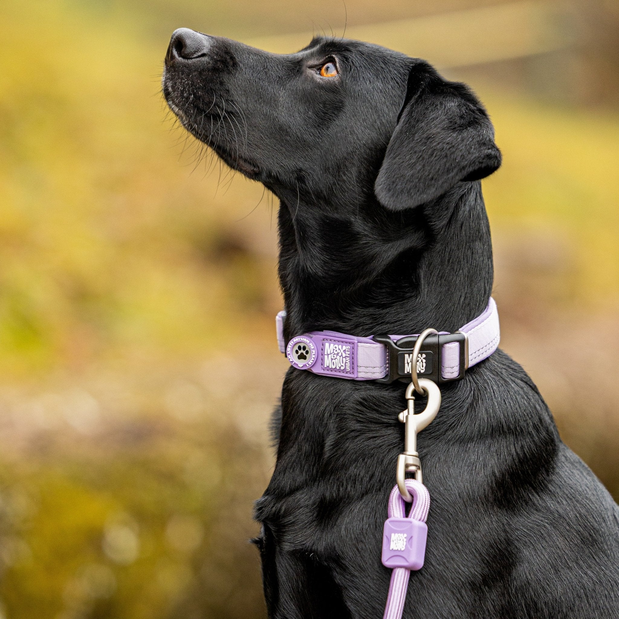 Rope Leash 3m Ø 10mm - Matrix 2.0 Lavender