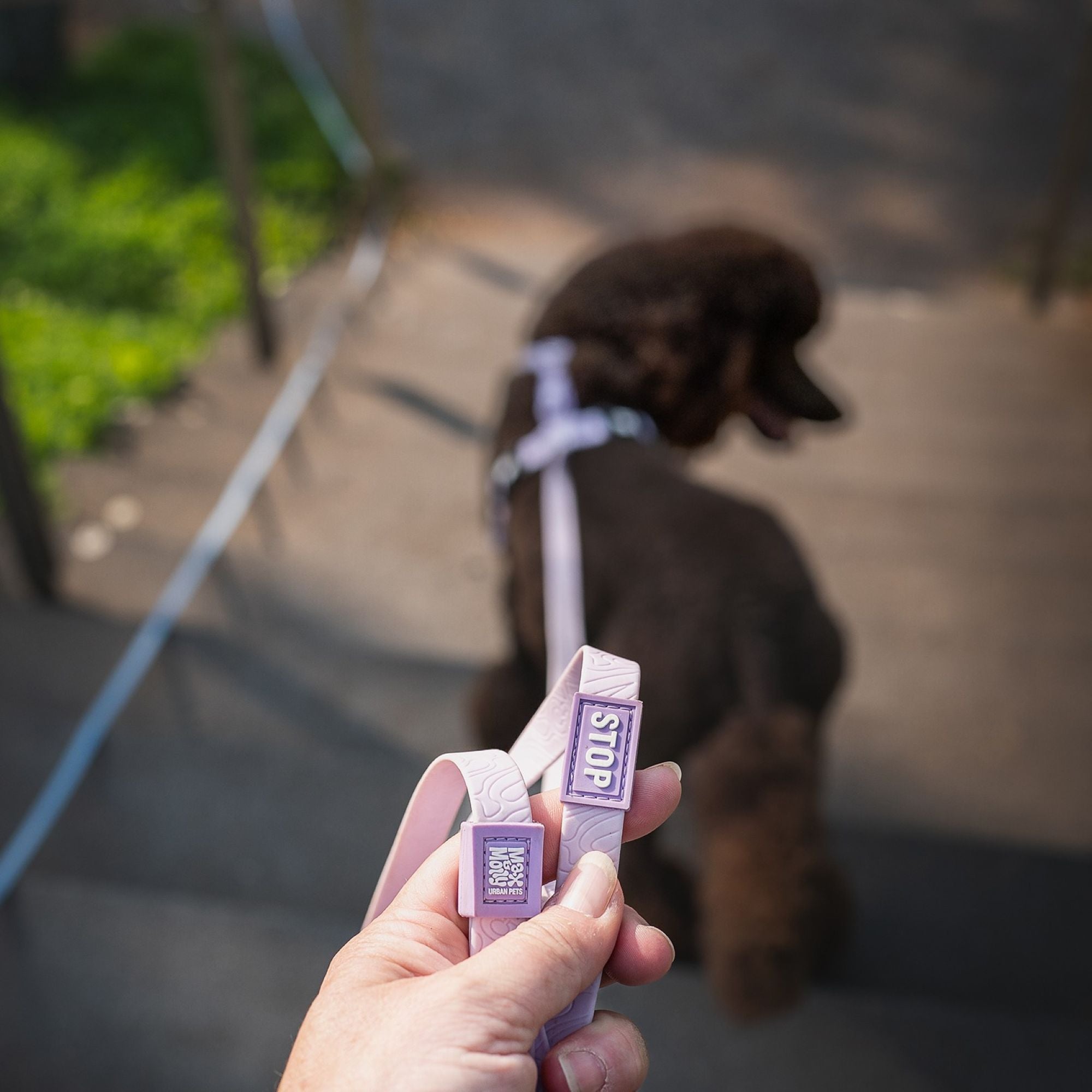 Tracking Leash with handle - Matrix 2.0 Lavender