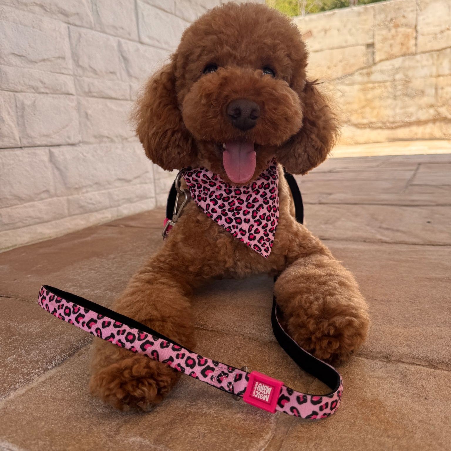 Kurzleine - Leopard Pink