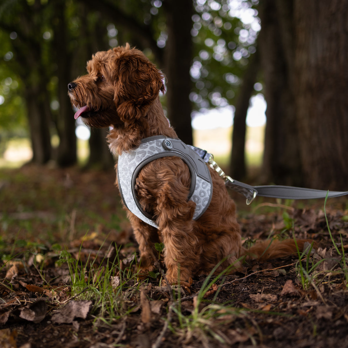 Air Vest Hundegeschirr - Leo Beige