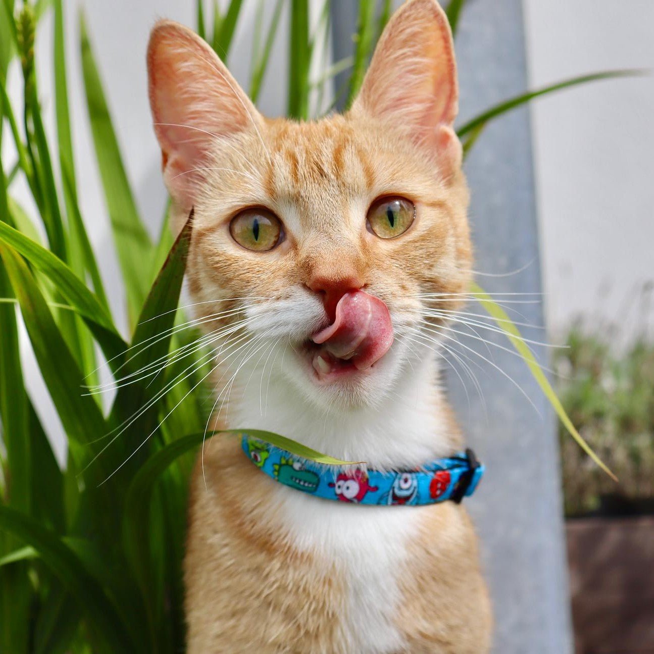 Smart ID Cat Collar - Little Monsters