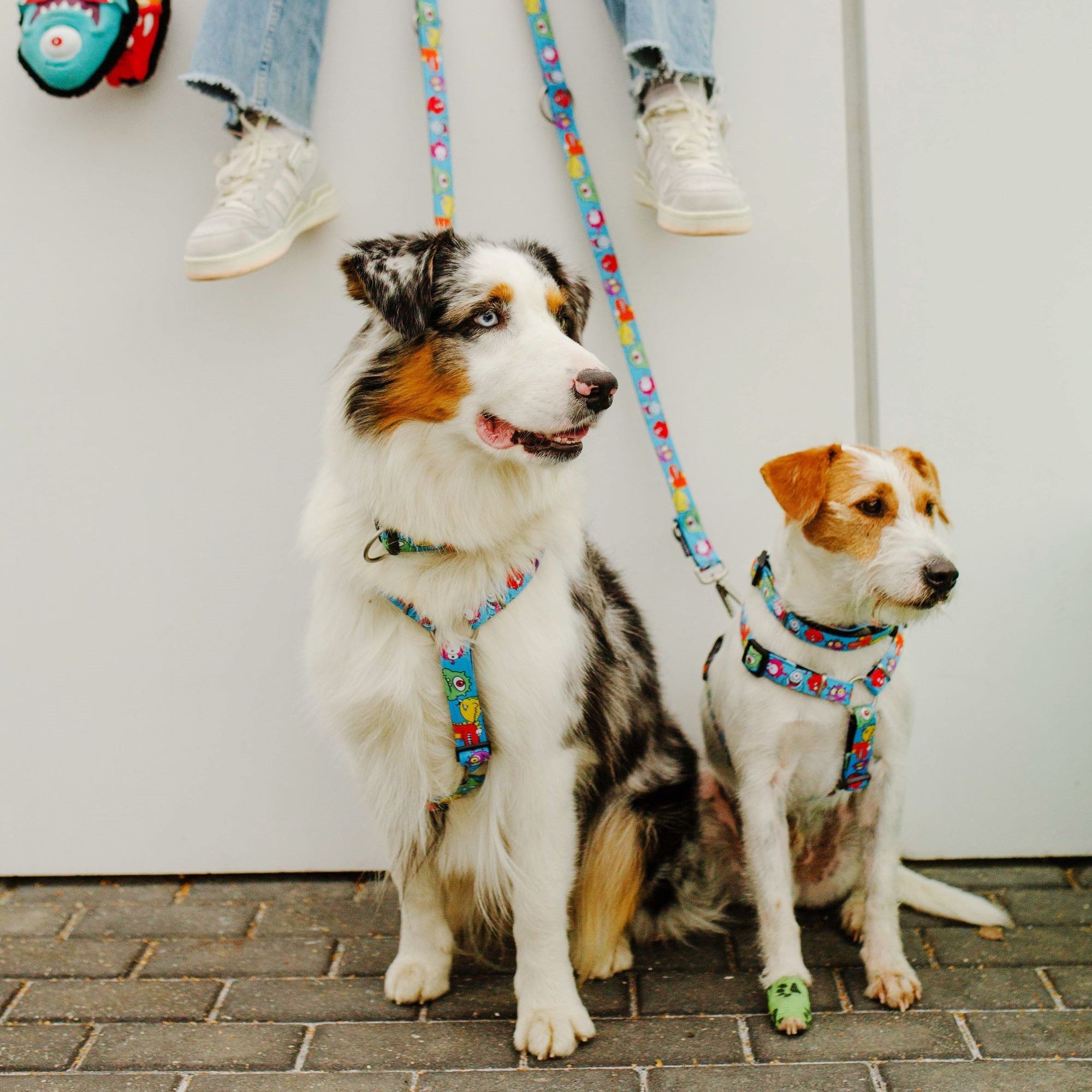 H-Harness - Little Monsters