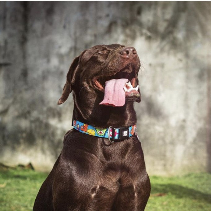 GOTCHA! Smart ID Collar - Little Monsters