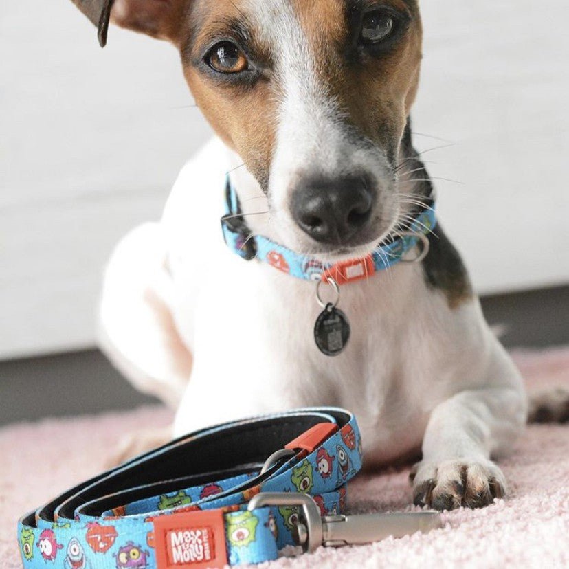 GOTCHA! Smart ID Halsband - Little Monsters