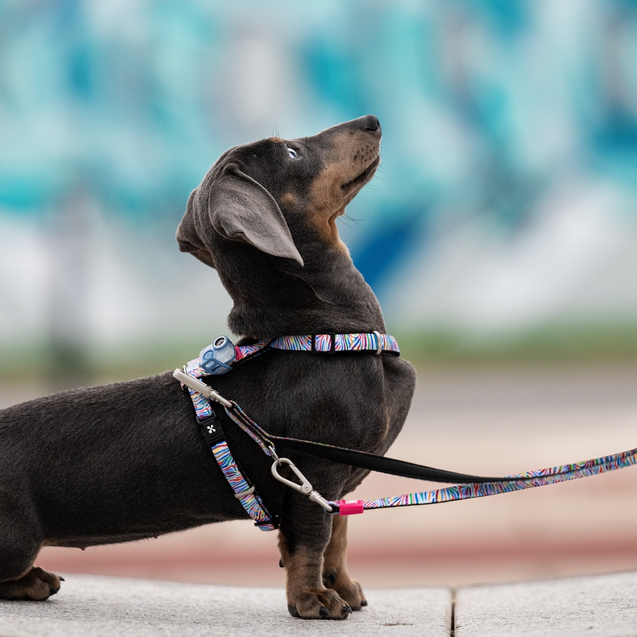 Soundshield MINI - 24/7 Ultrasonic Technology Against Ticks & Fleas - Ocean