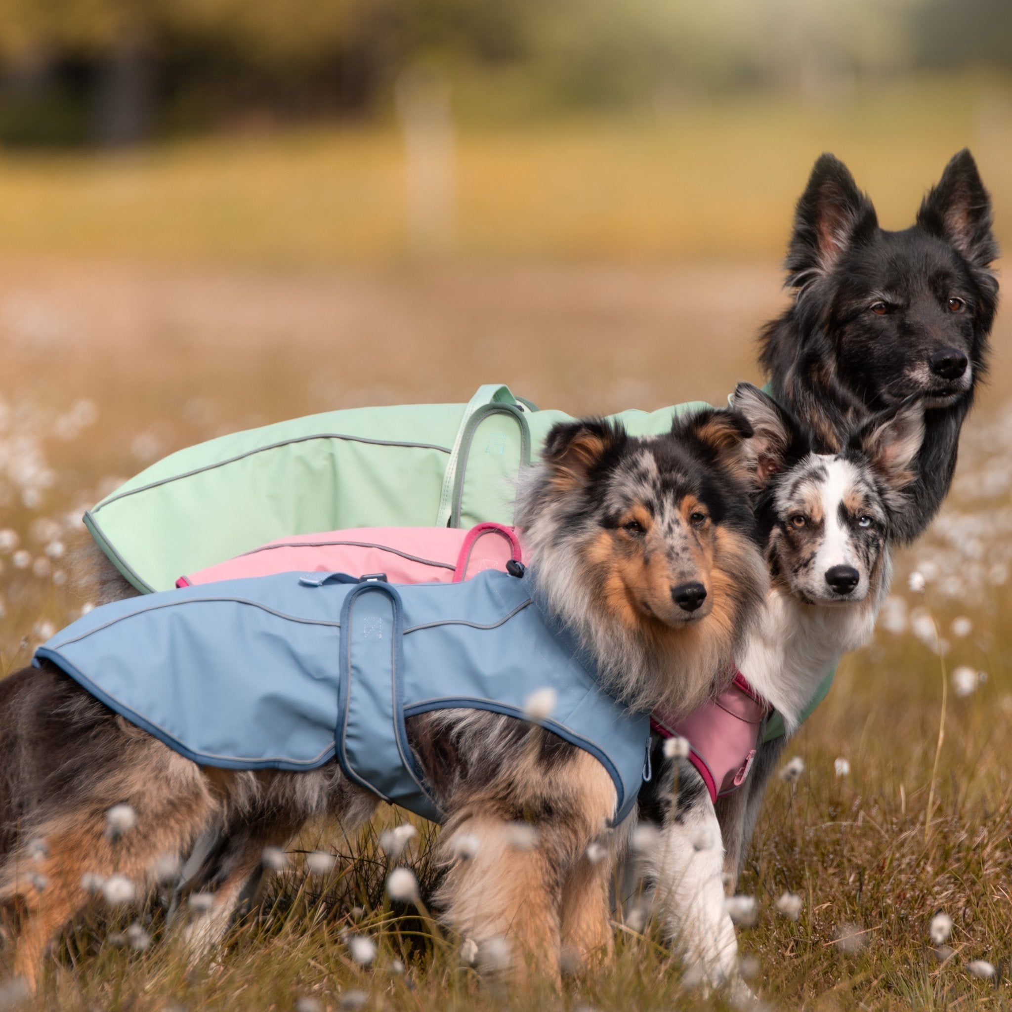 Regenmantel für Hunde - MATRIX 2.0 SAND