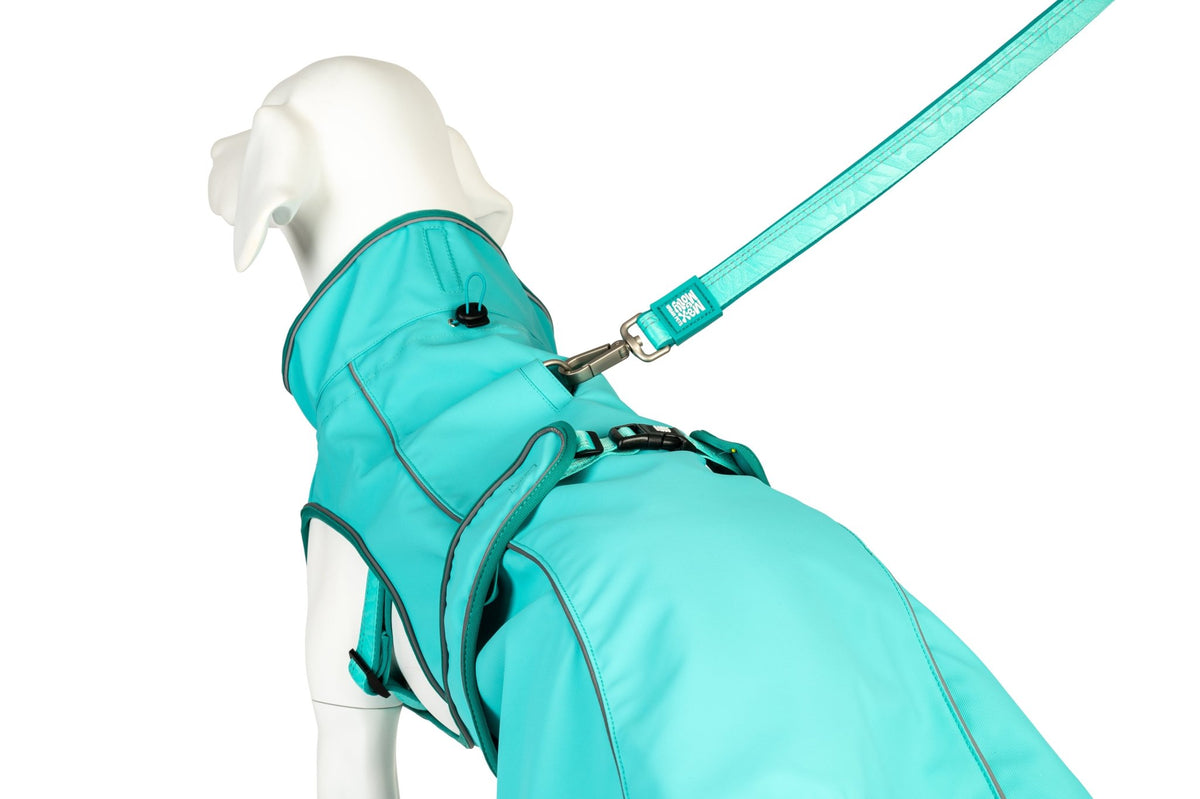Raincoat for dogs - Matrix 2.0 Turquoise