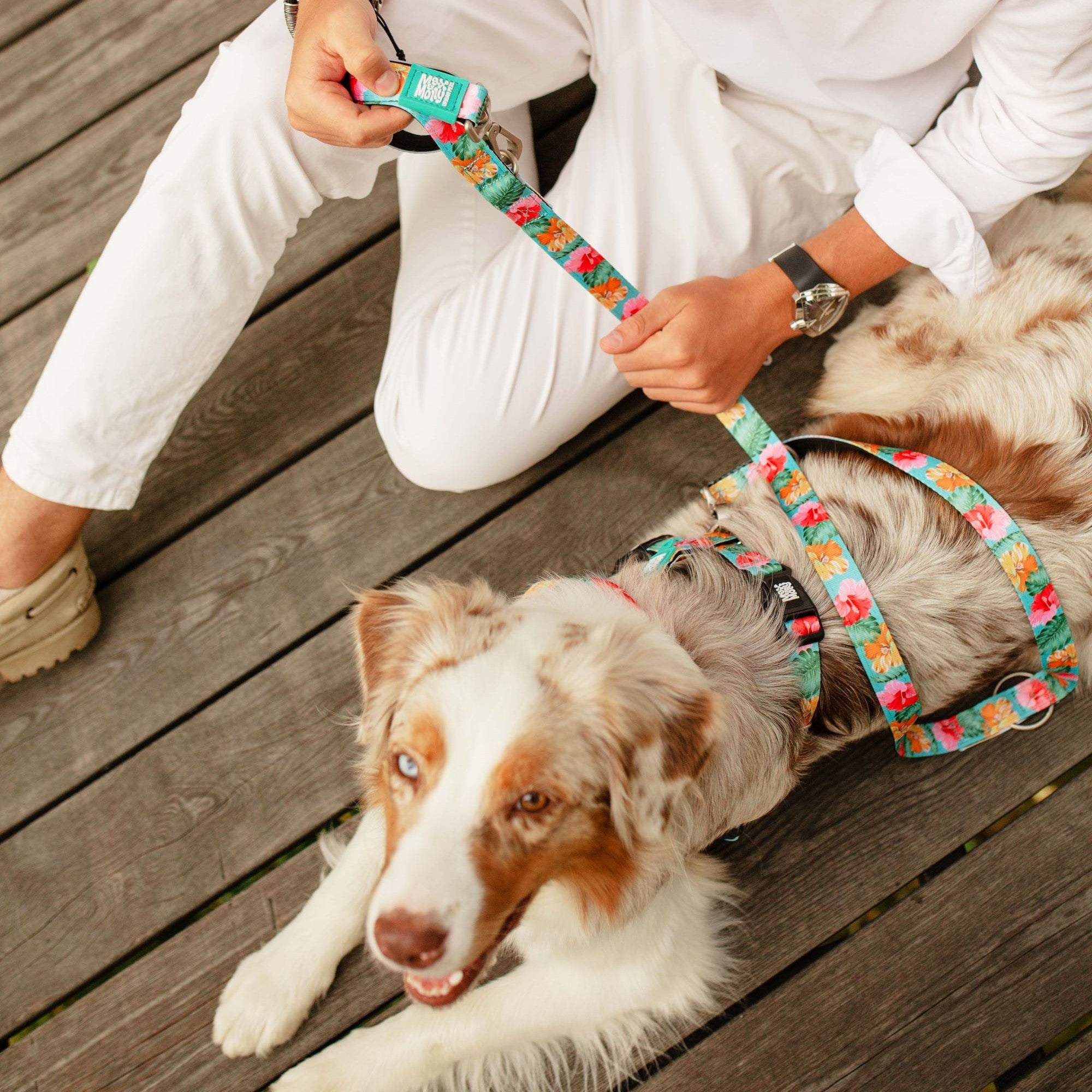 Kurzleine - Exotique