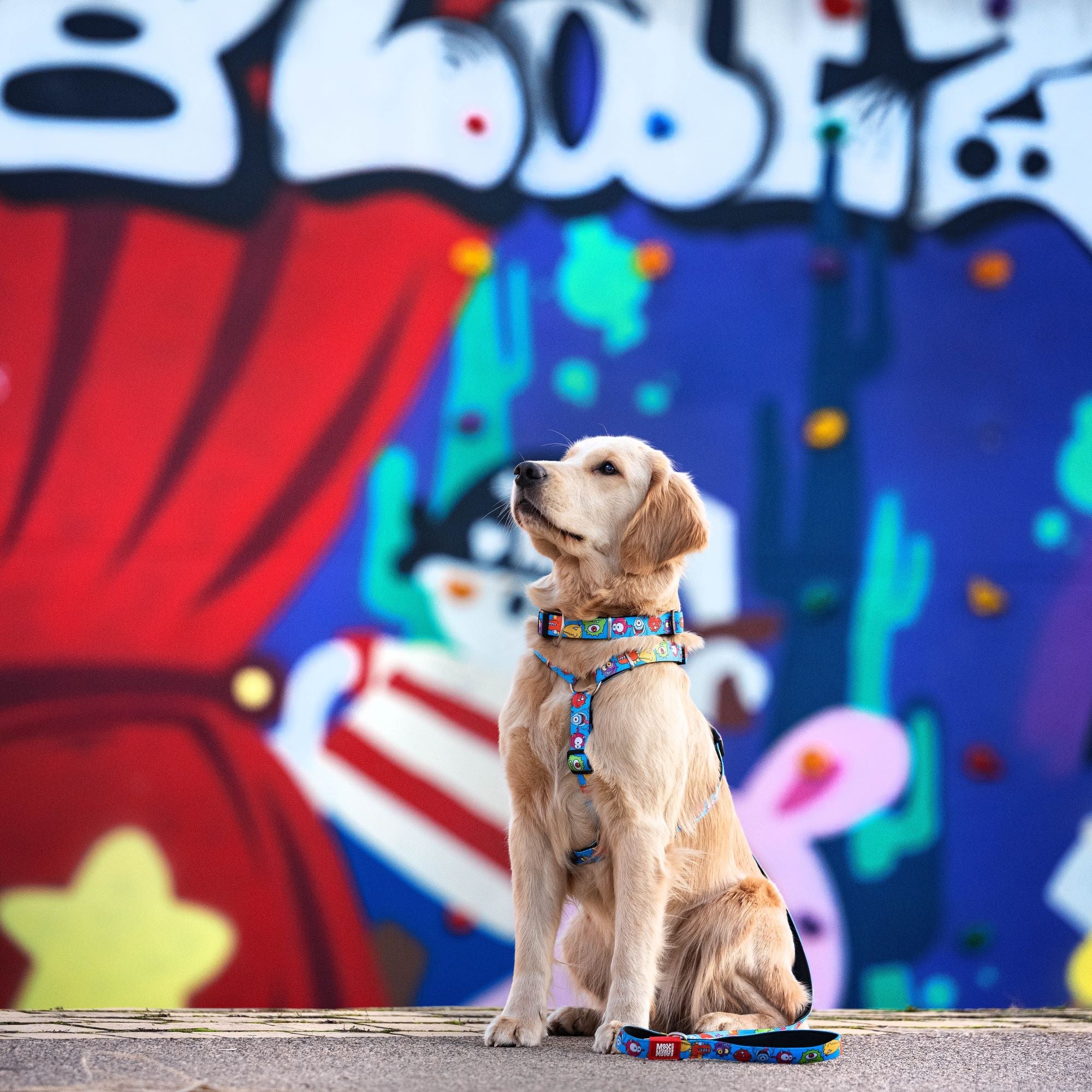 GOTCHA! Smart ID Collar - Little Monsters