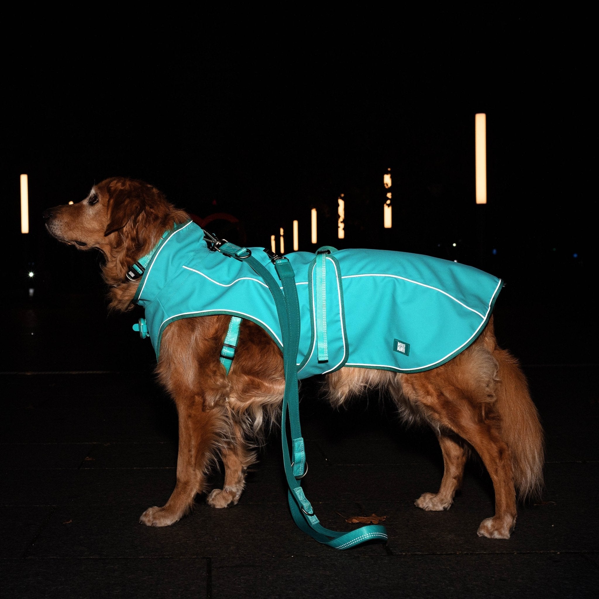 Regenmantel für Hunde - MATRIX 2.0 TÜRKIS