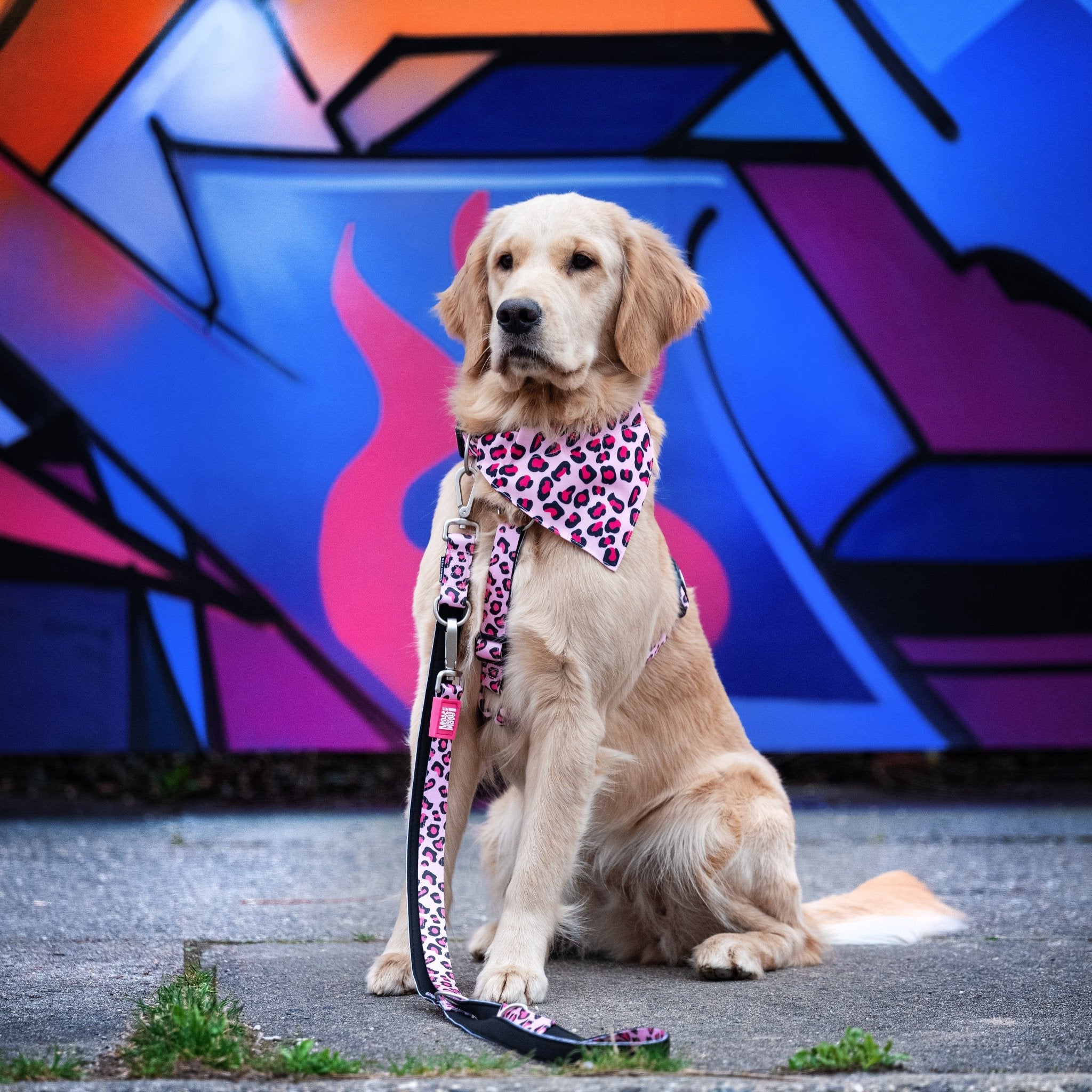 Bandana - Leopard Pink