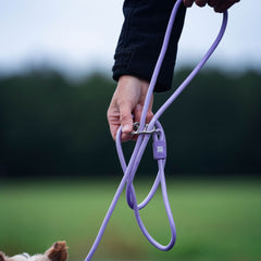 Max & Molly rope leash – durable, adjustable, and lightweight for secure and comfortable dog walks.