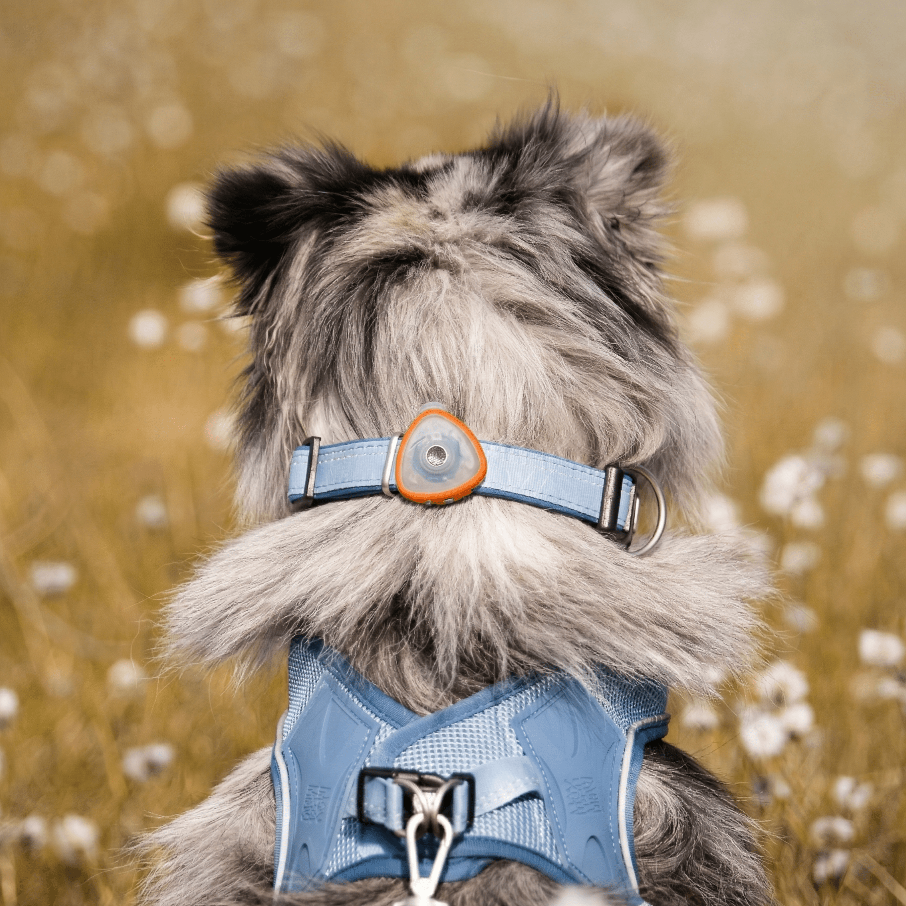 Soundshield - 24/7 Ultrasonic Technology Against Ticks & Fleas - Orange