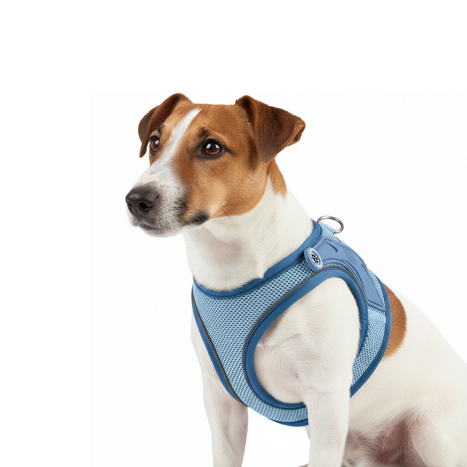Air Vest Dog Harness - Matrix 2.0 Ocean