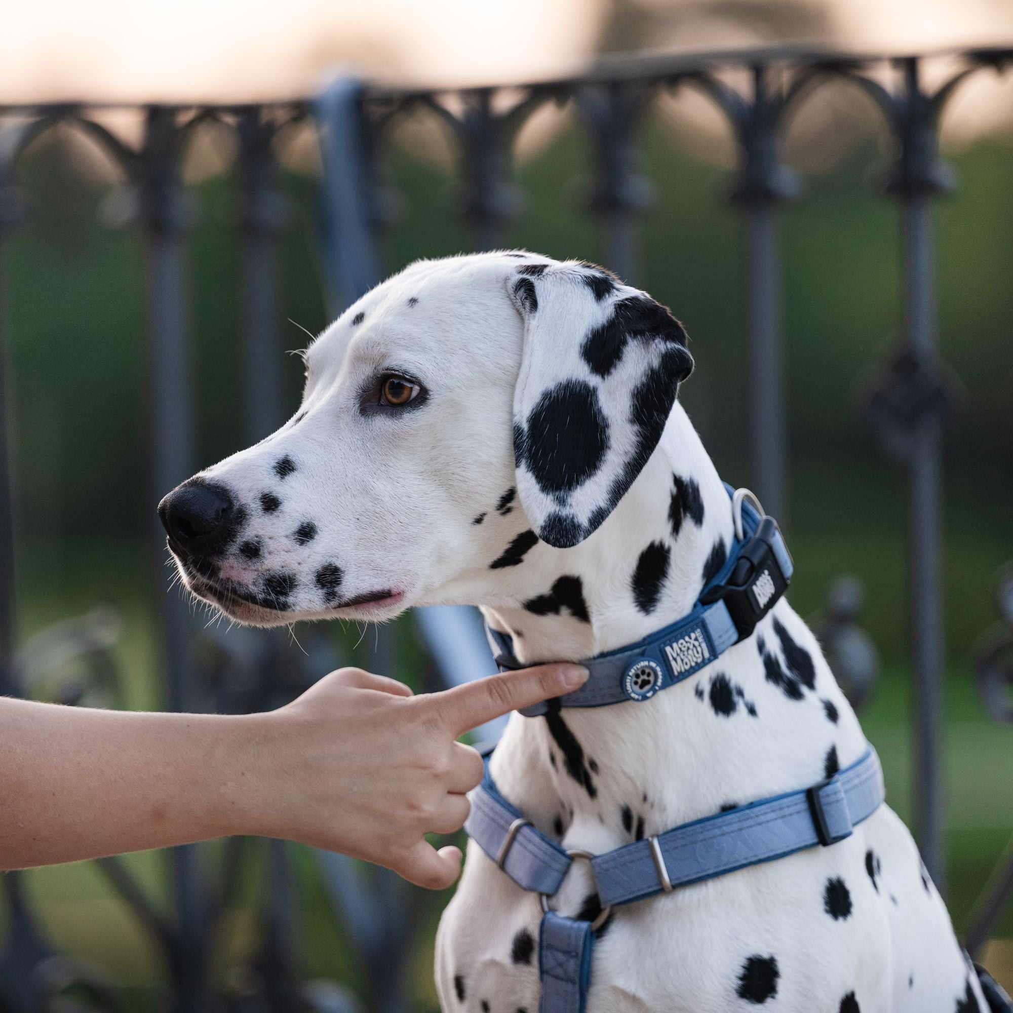 GOTCHA! Smart ID Collar - Matrix 2.0 Ocean