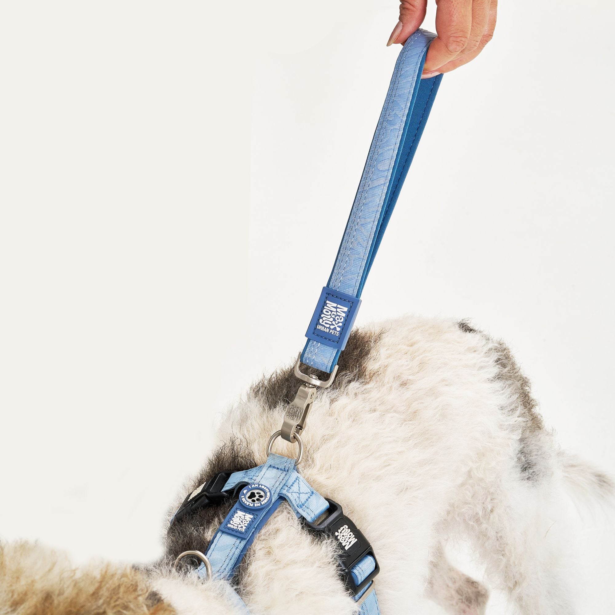 Handle Leash - Matrix 2.0 Ocean