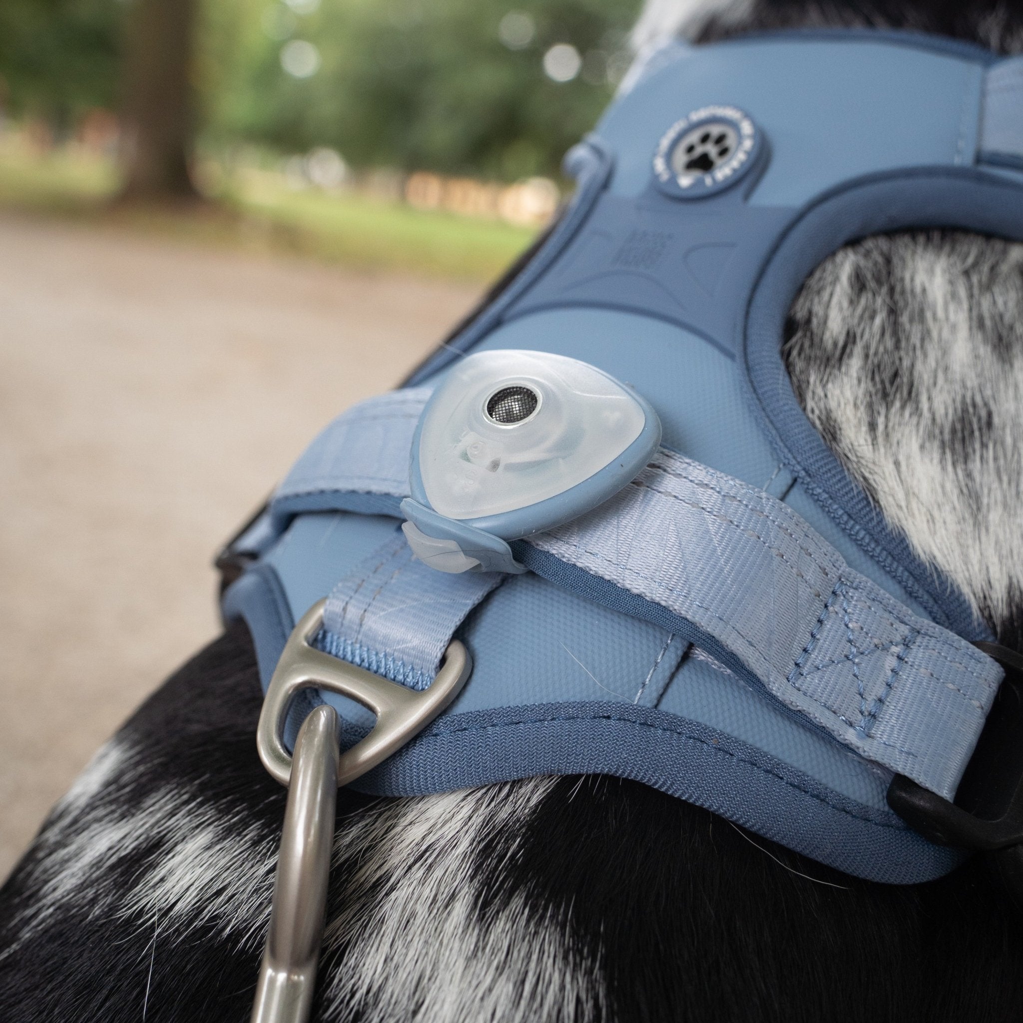 Soundshield - 24/7 Ultrasonic Technology Against Ticks & Fleas - Ocean