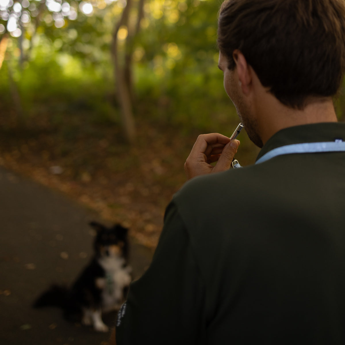 Dog Whistle Lanyard - Matrix 2.0 Ocean