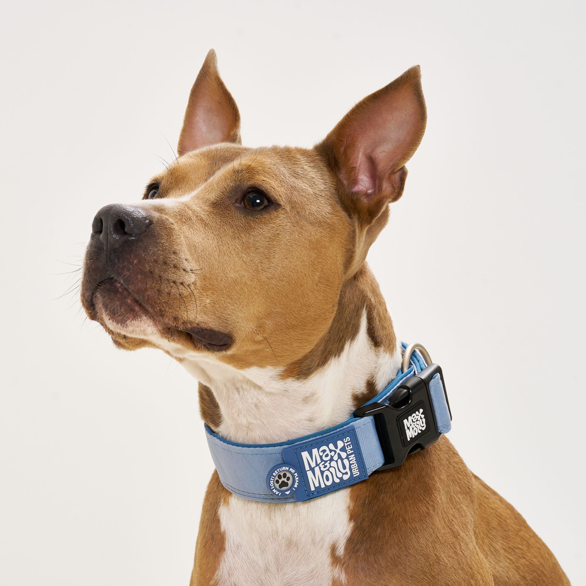 Smart ID Breites Halsband - Matrix 2.0 Ocean