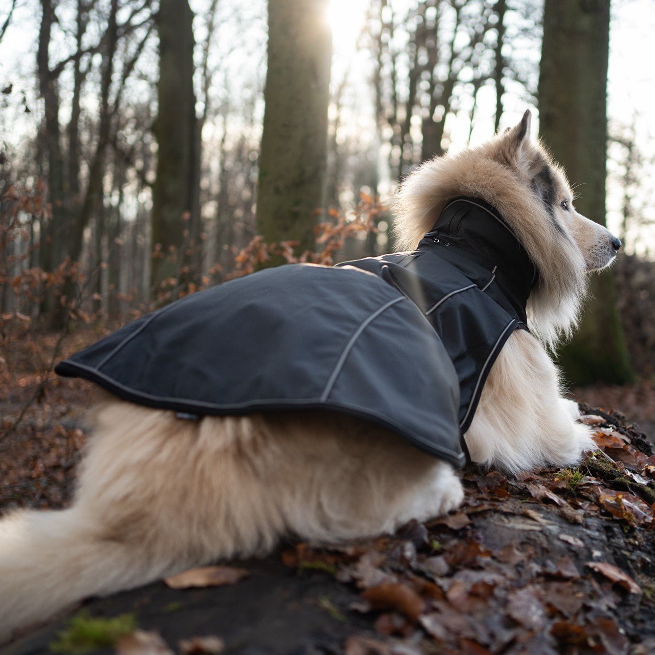 Raincoat for dogs - MATRIX 2.0 BLACK