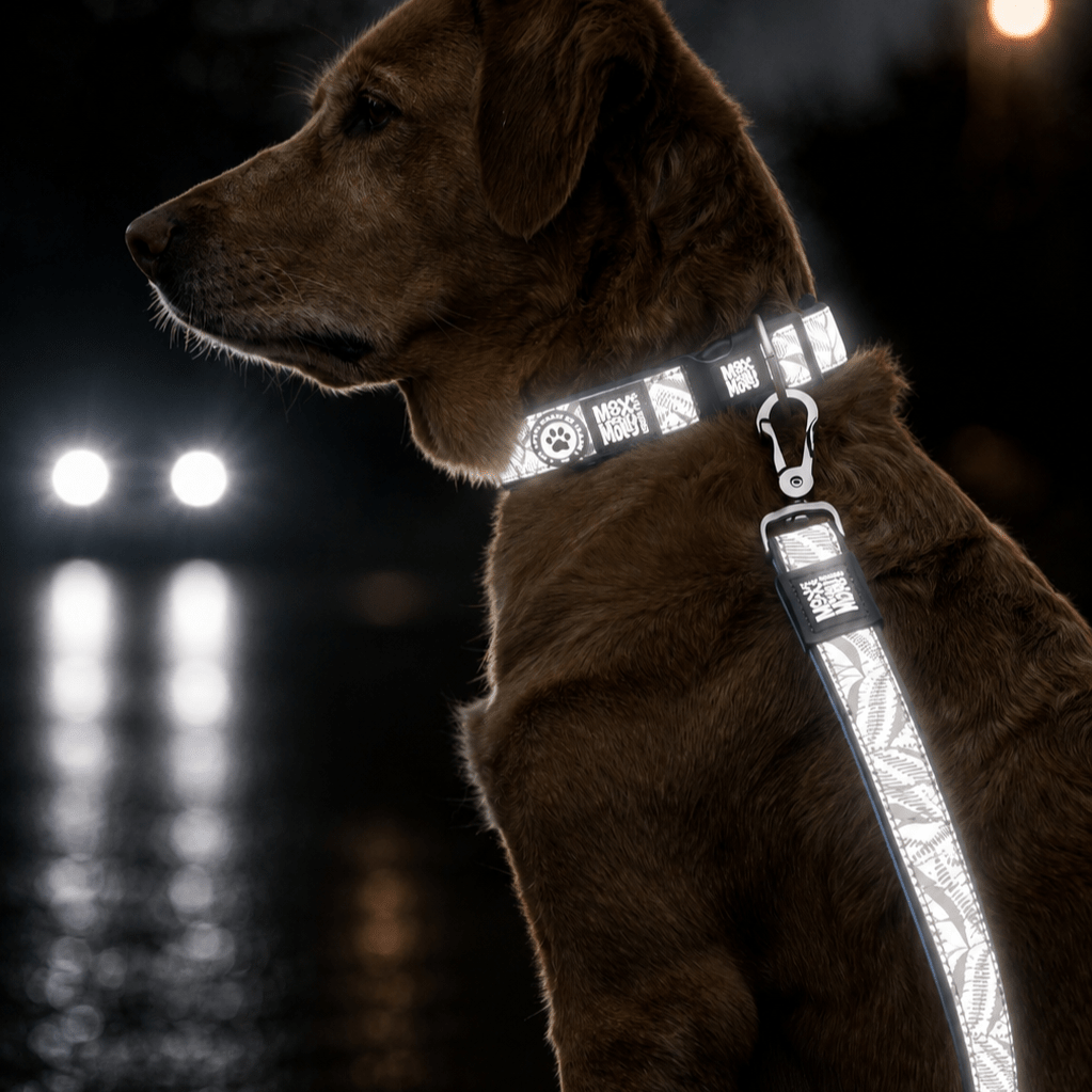 Multifunctional Leash Reflexion-Garden