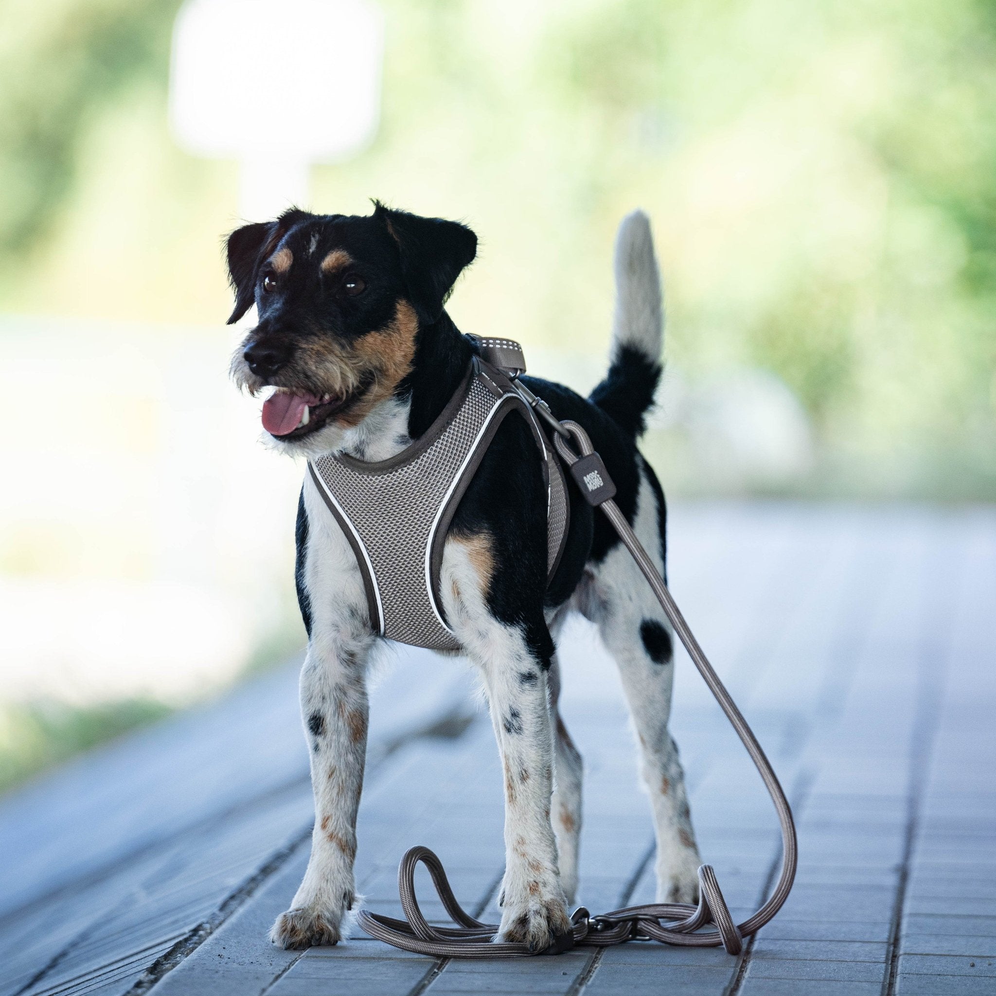 Tauleine - MATRIX 2.0 Sand