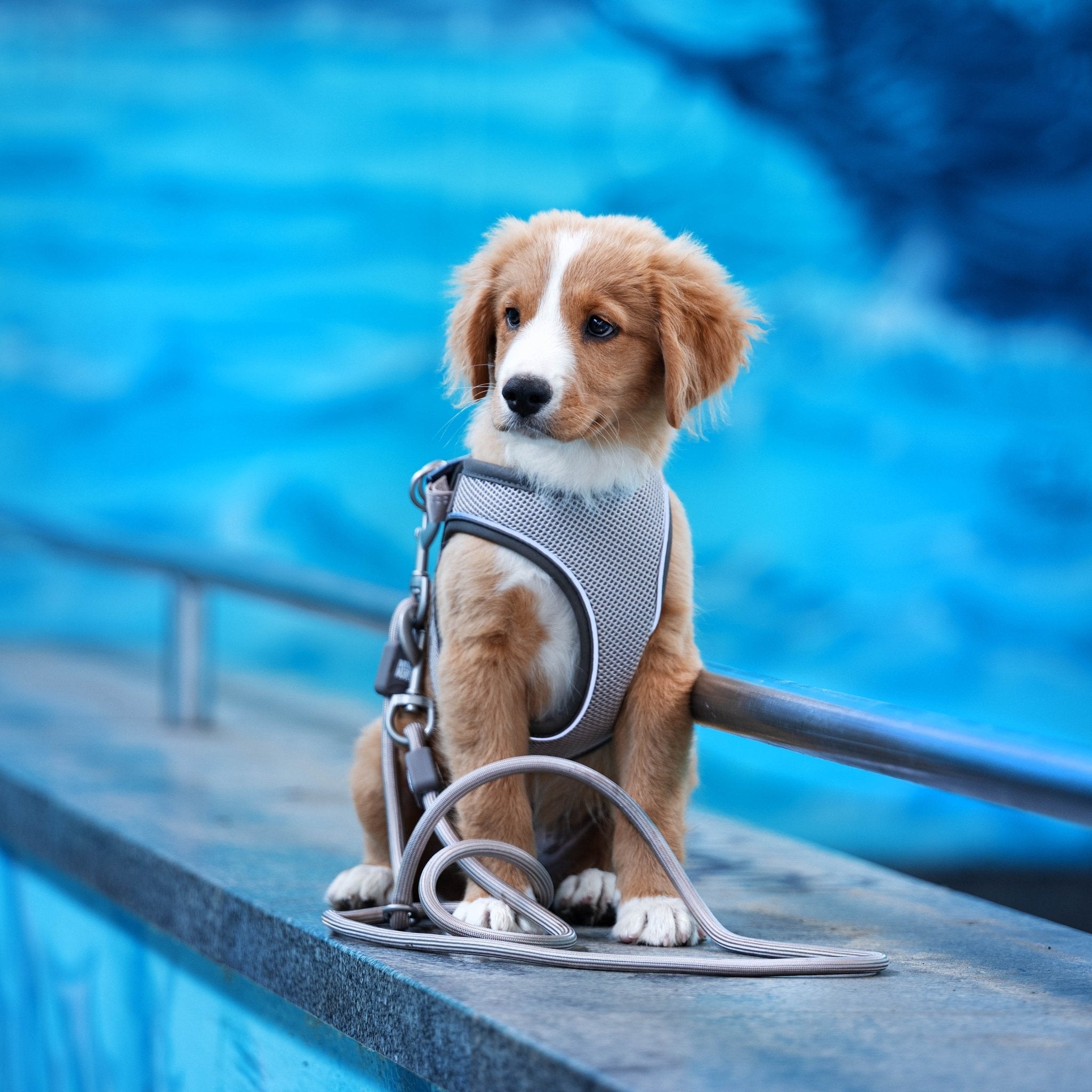 Tauleine - MATRIX 2.0 Sand